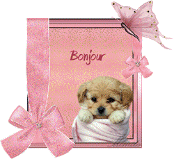 Gif animé bonjour